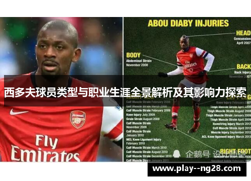 西多夫球员类型与职业生涯全景解析及其影响力探索 西多夫球员类型与职业生涯全景解析及其影响力探索