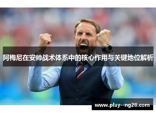 阿梅尼在安帅战术体系中的核心作用与关键地位解析