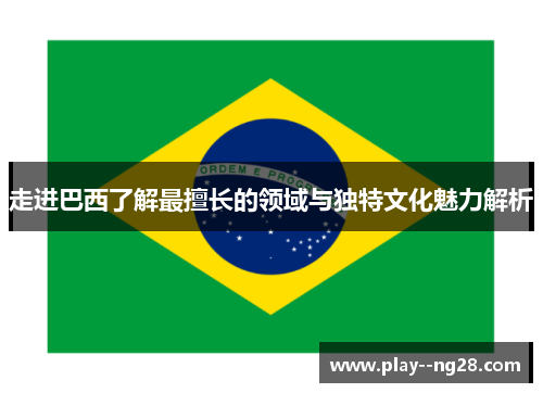 走进巴西了解最擅长的领域与独特文化魅力解析