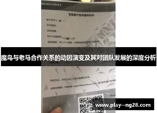 魔鸟与老马合作关系的动因演变及其对团队发展的深度分析